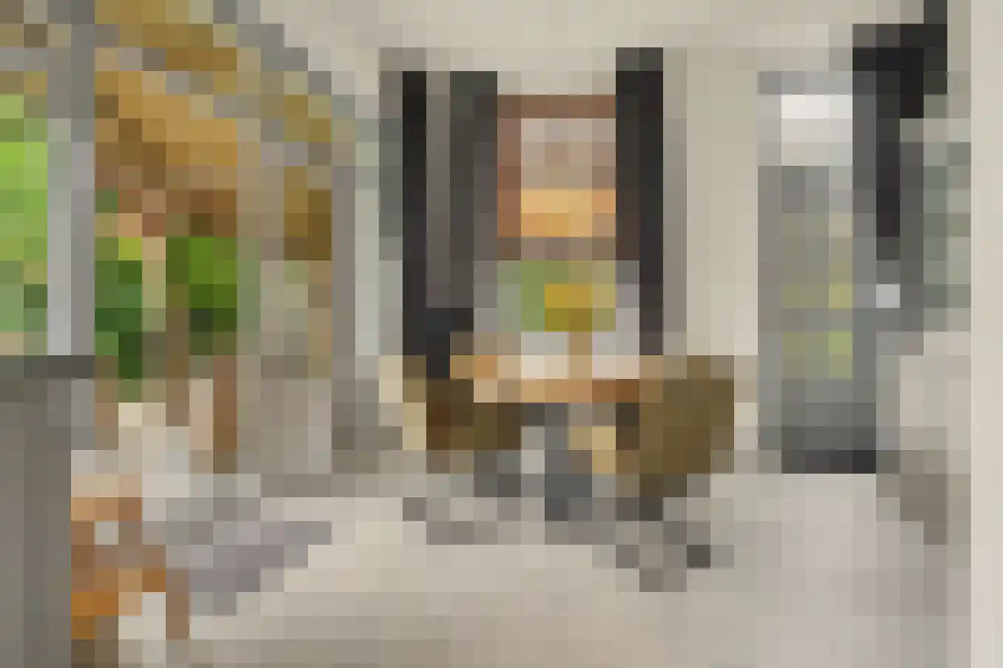 Deezijstraat 14 Bruinisse thumbnail 15