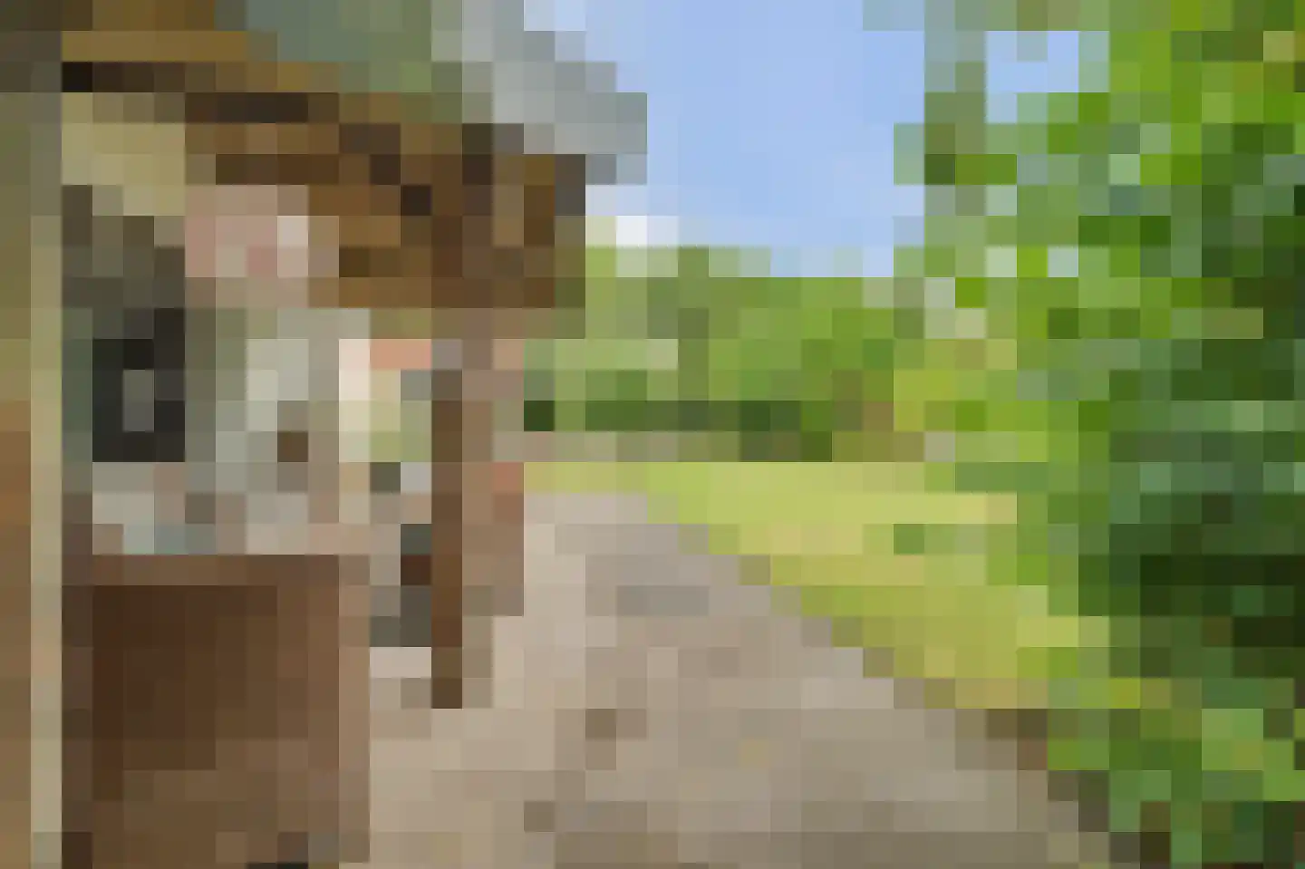 Deezijstraat 14 Bruinisse thumbnail 19