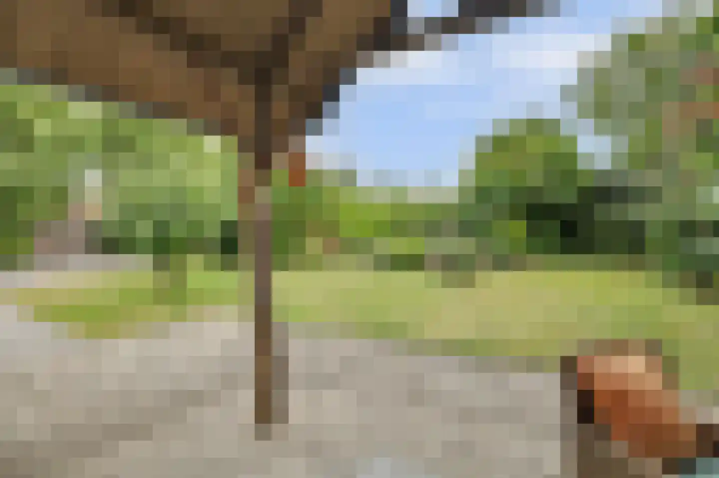 Deezijstraat 14 Bruinisse thumbnail 20