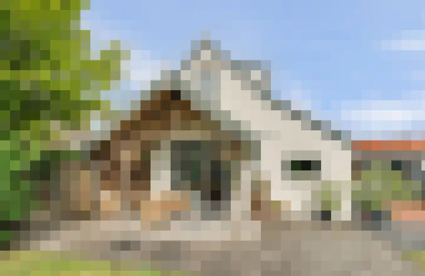 Deezijstraat 14 Bruinisse thumbnail 21
