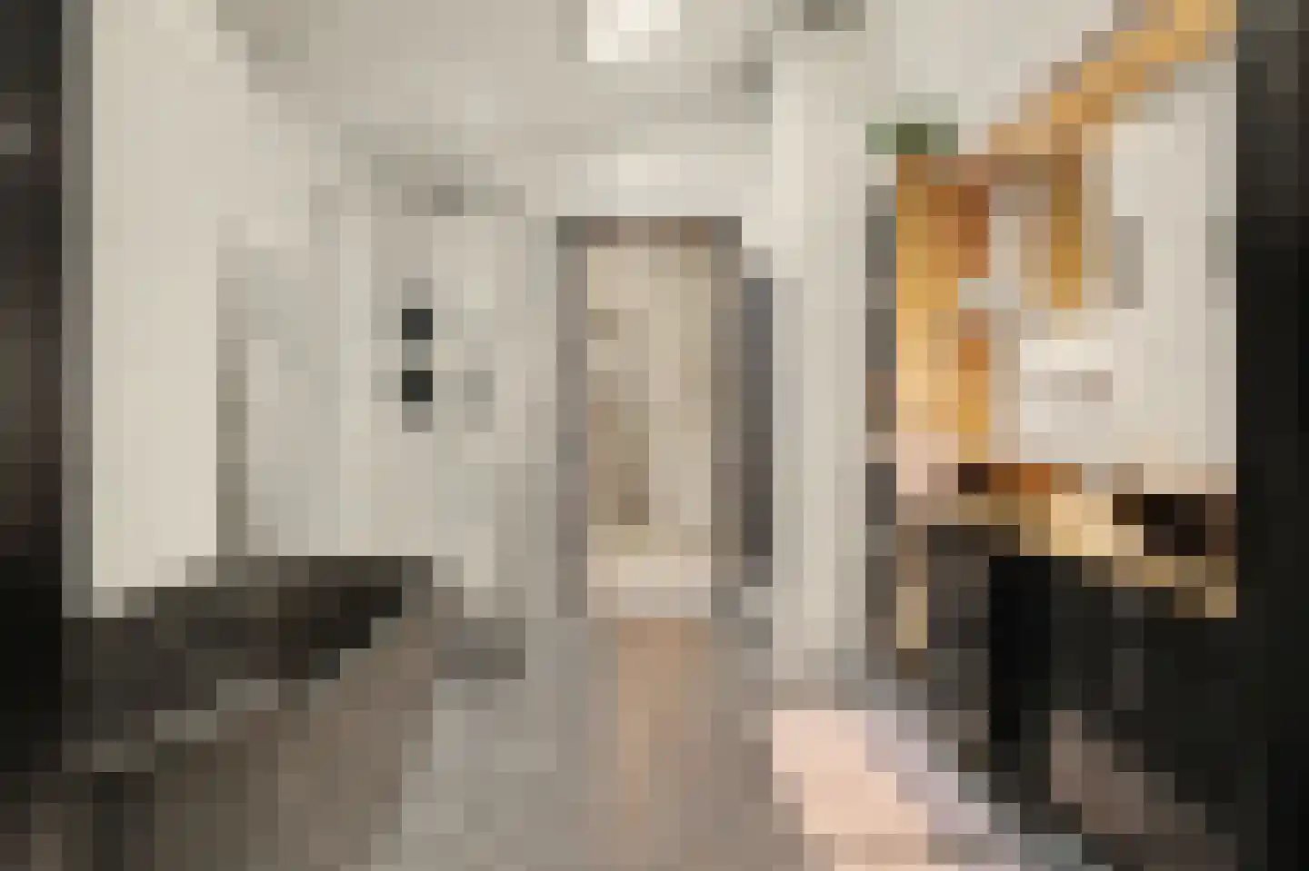 Deezijstraat 14 Bruinisse thumbnail 23