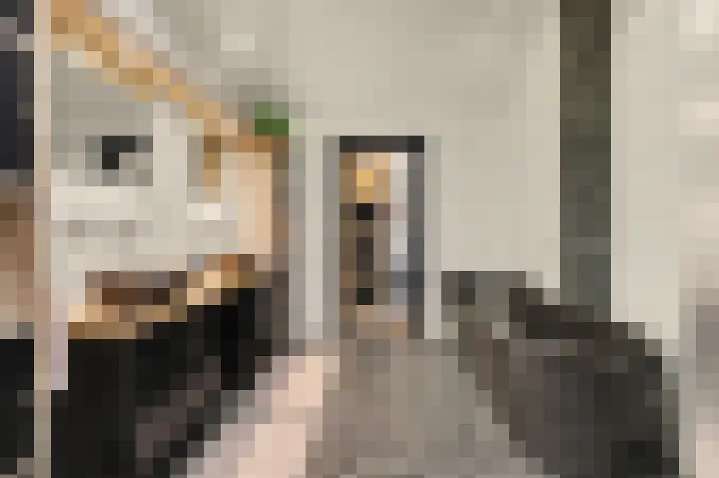 Deezijstraat 14 Bruinisse thumbnail 24