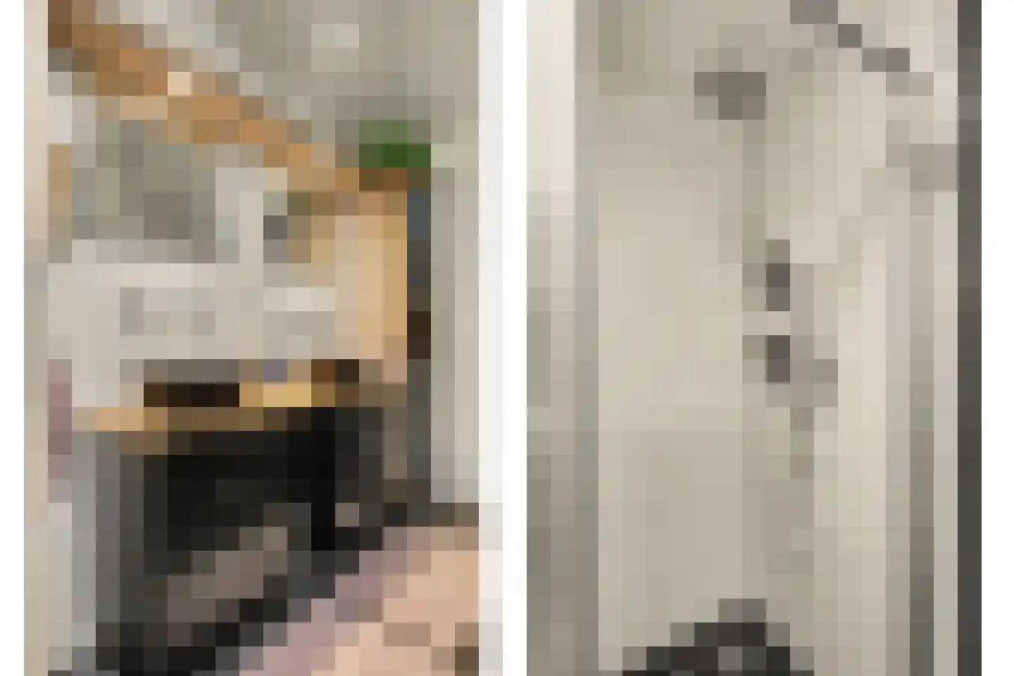 Deezijstraat 14 Bruinisse thumbnail 25