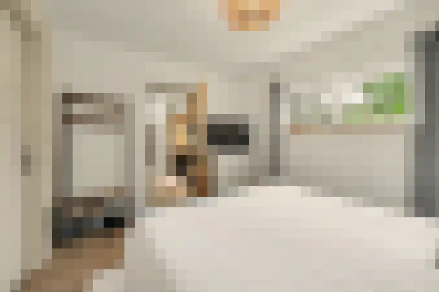 Deezijstraat 14 Bruinisse thumbnail 26