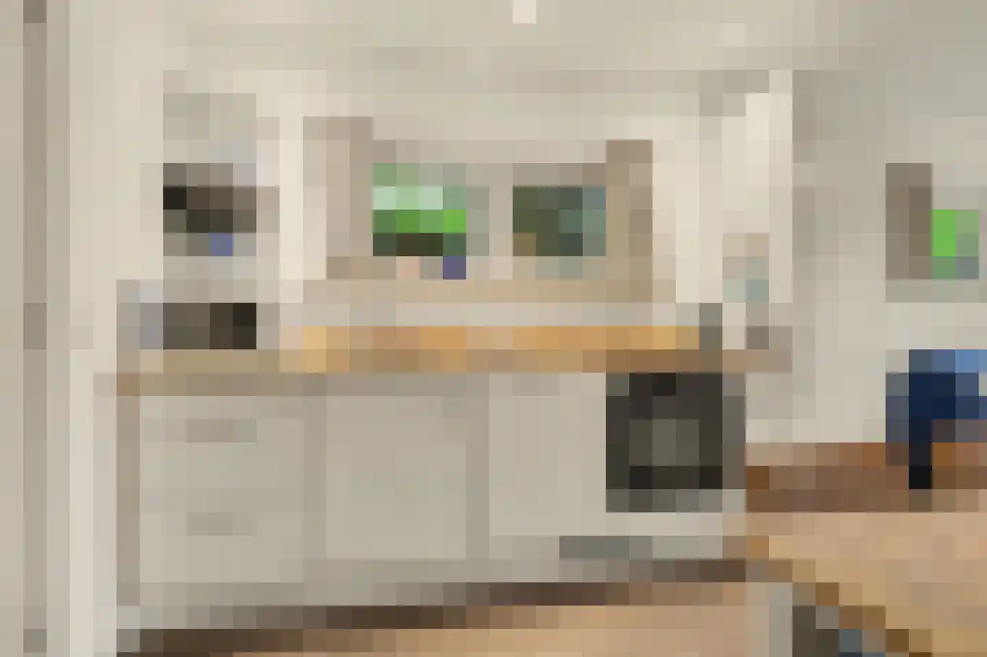 Deezijstraat 14 Bruinisse thumbnail 32