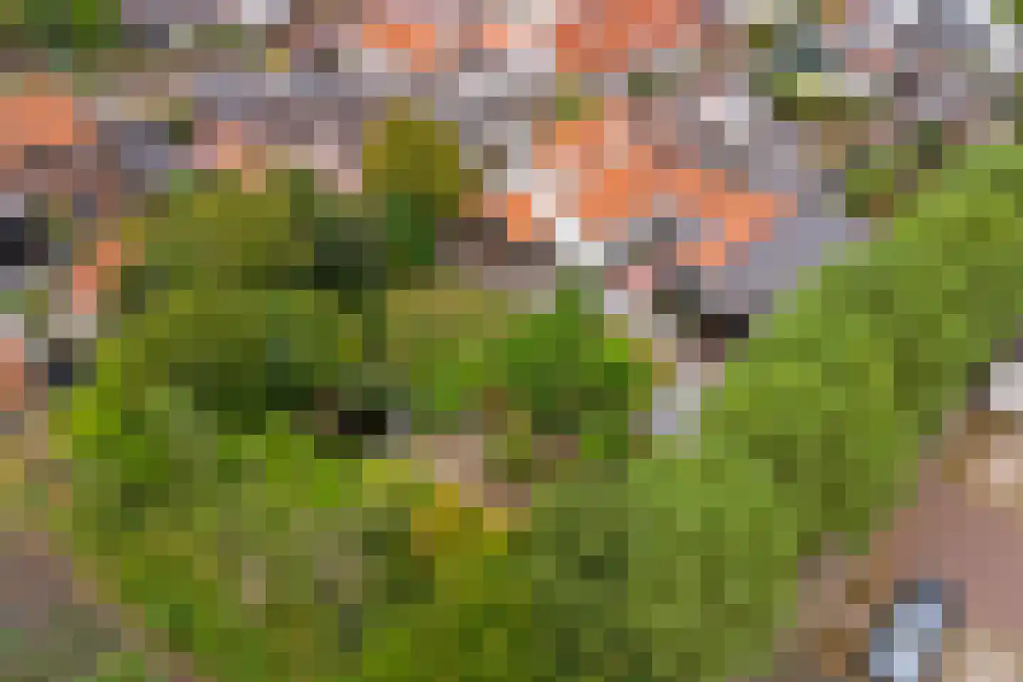 Deezijstraat 14 Bruinisse thumbnail 4