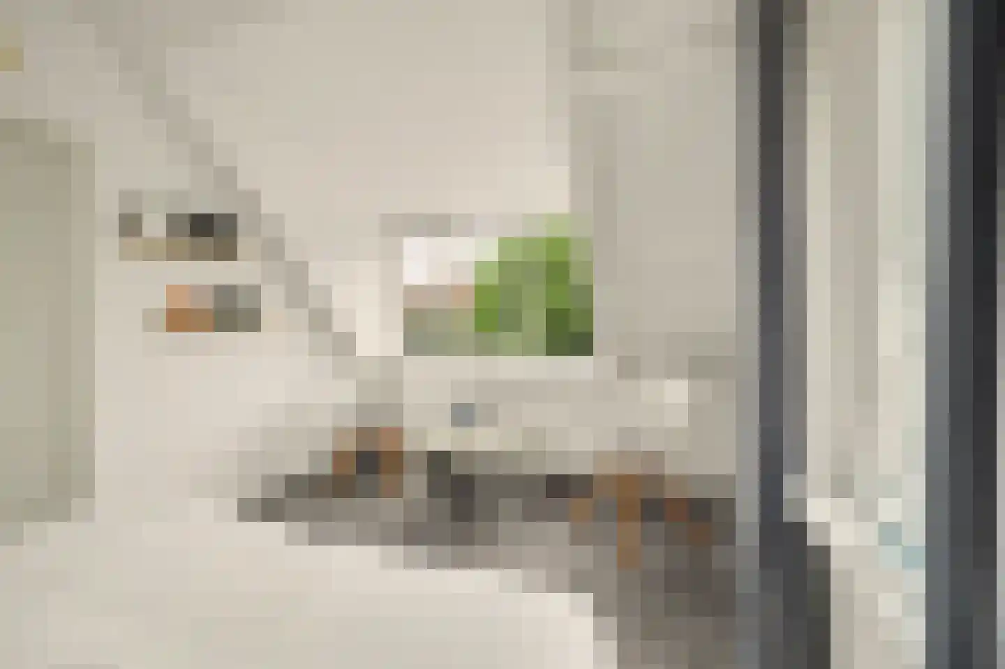 Deezijstraat 14 Bruinisse thumbnail 43