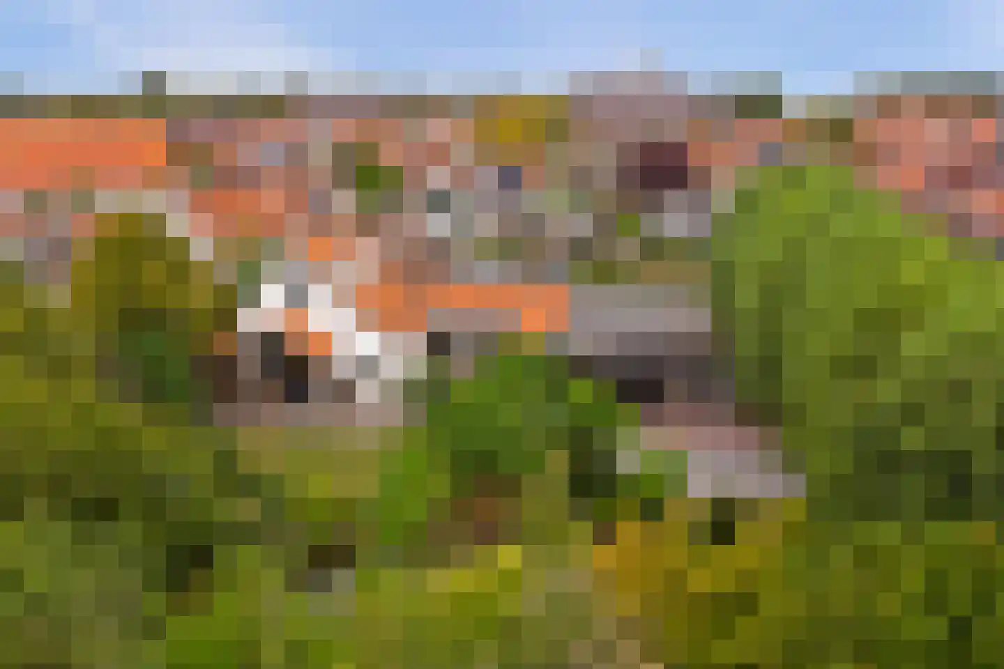 Deezijstraat 14 Bruinisse thumbnail 44