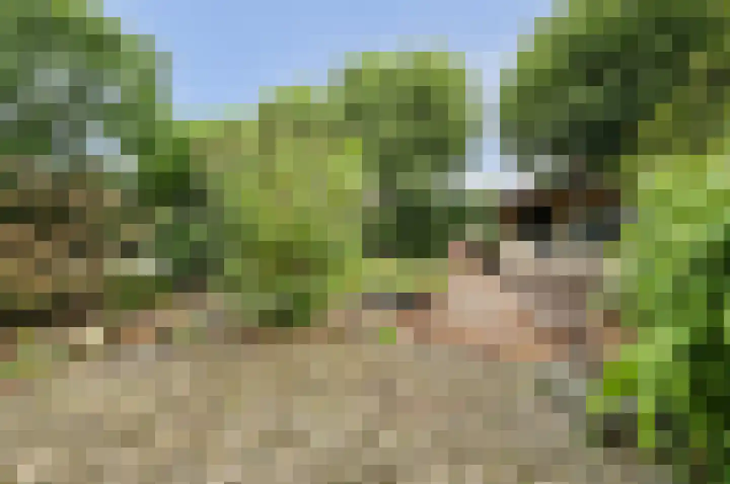 Deezijstraat 14 Bruinisse thumbnail 5