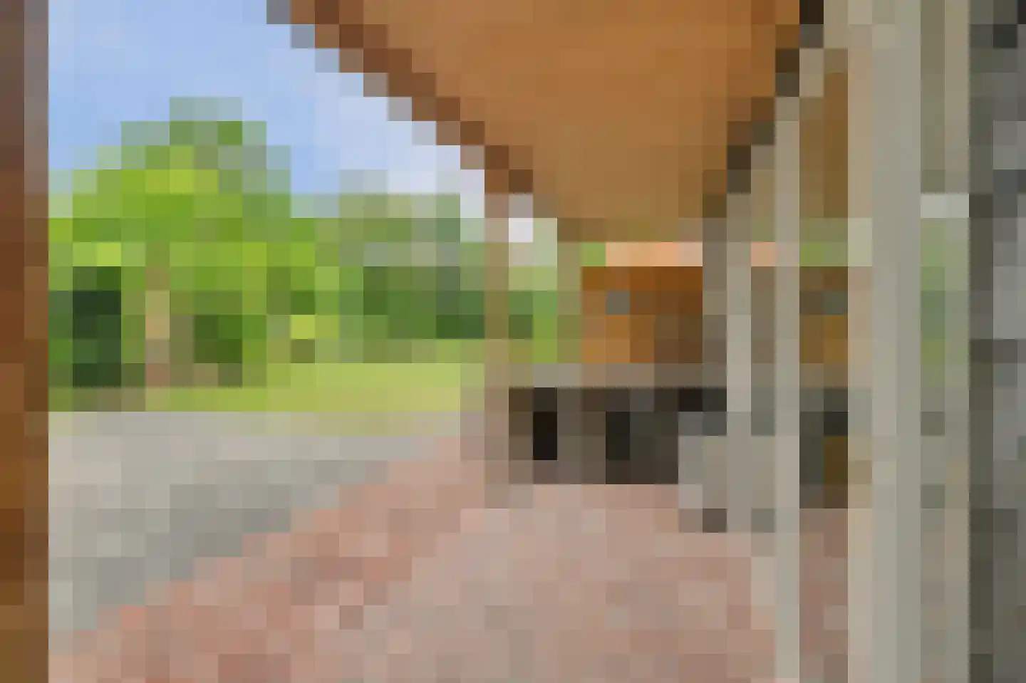 Deezijstraat 14 Bruinisse thumbnail 50