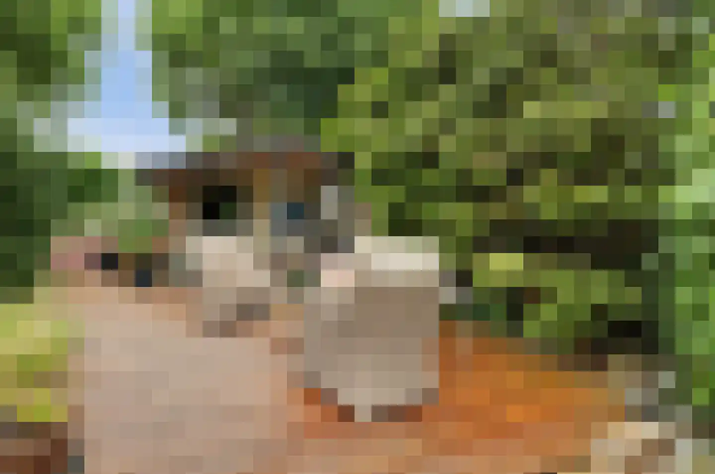 Deezijstraat 14 Bruinisse thumbnail 51
