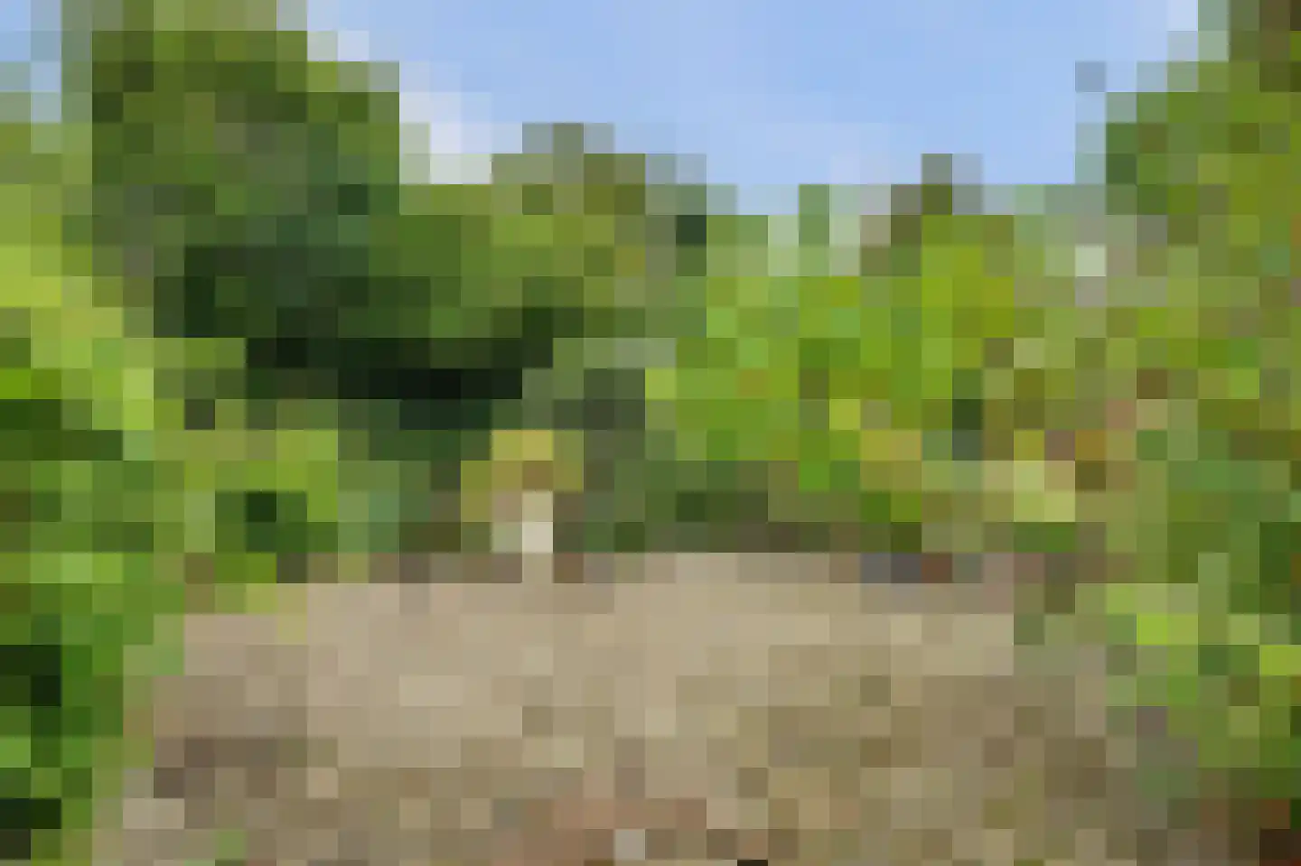 Deezijstraat 14 Bruinisse thumbnail 52