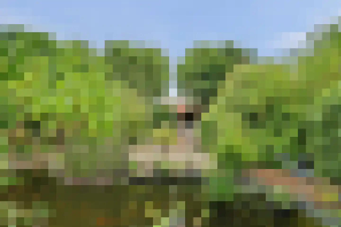 Deezijstraat 14 Bruinisse thumbnail 53