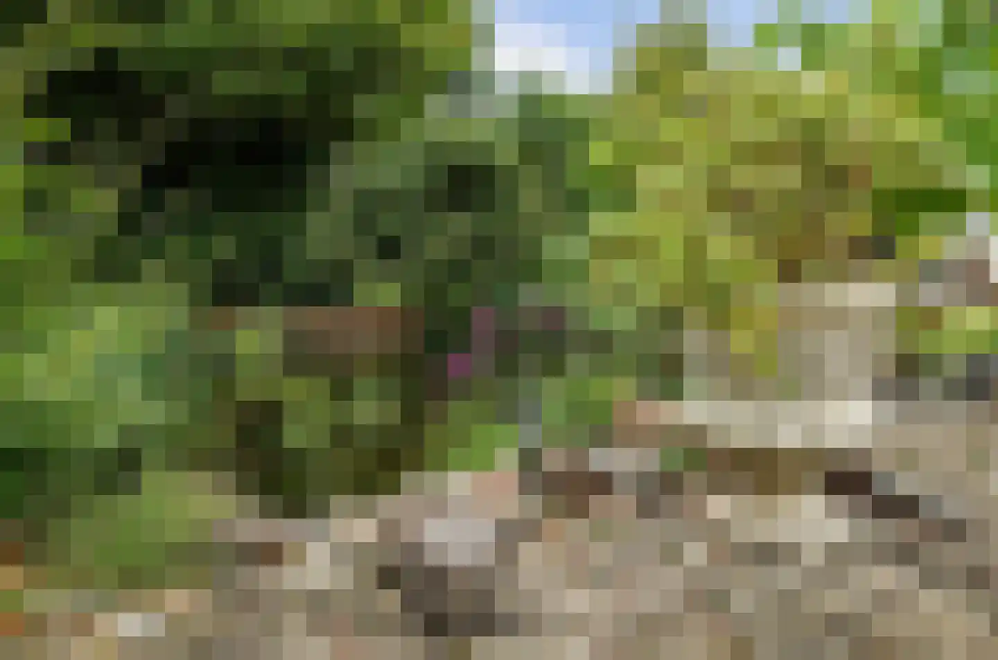 Deezijstraat 14 Bruinisse thumbnail 54