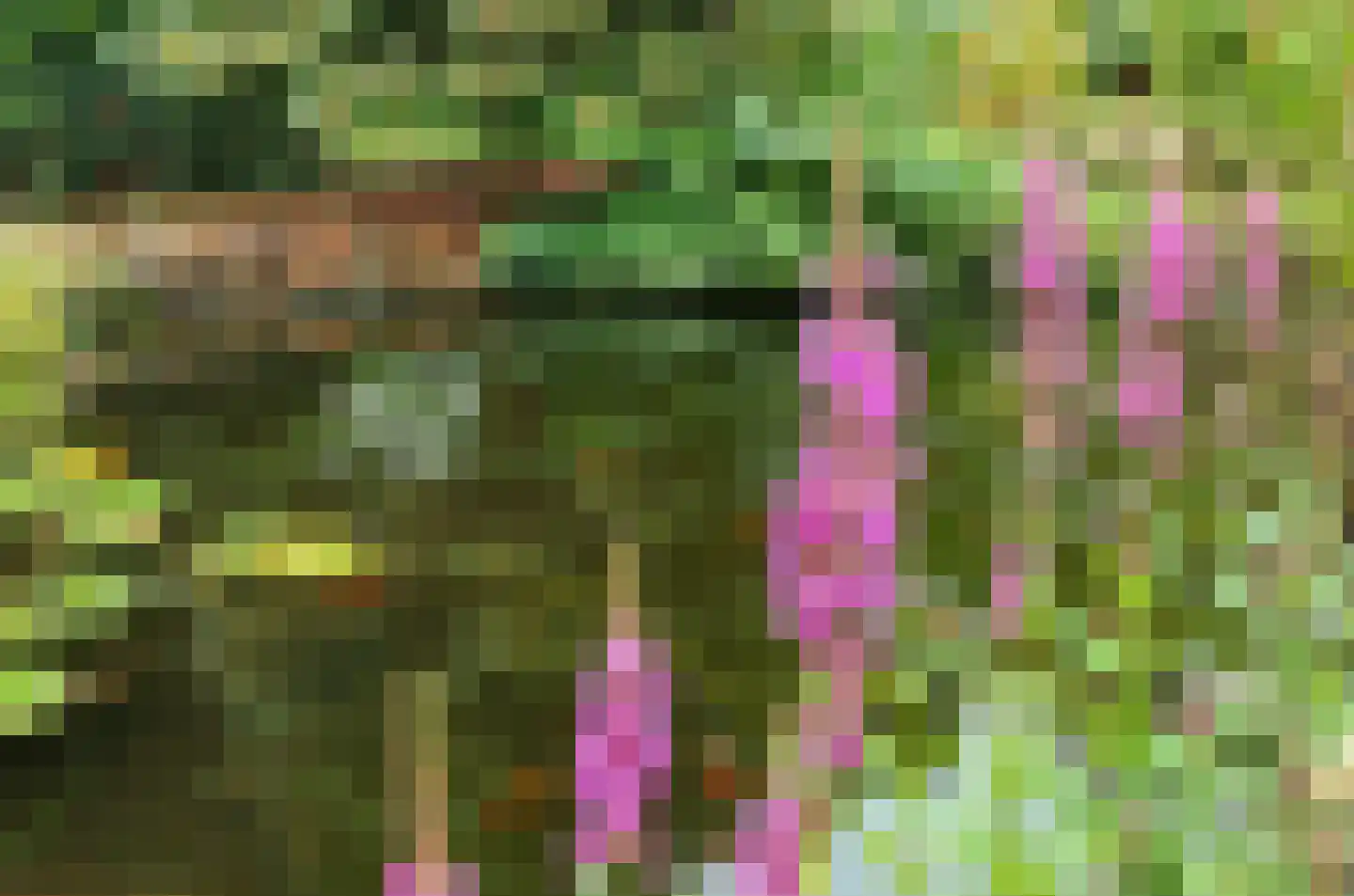 Deezijstraat 14 Bruinisse thumbnail 55