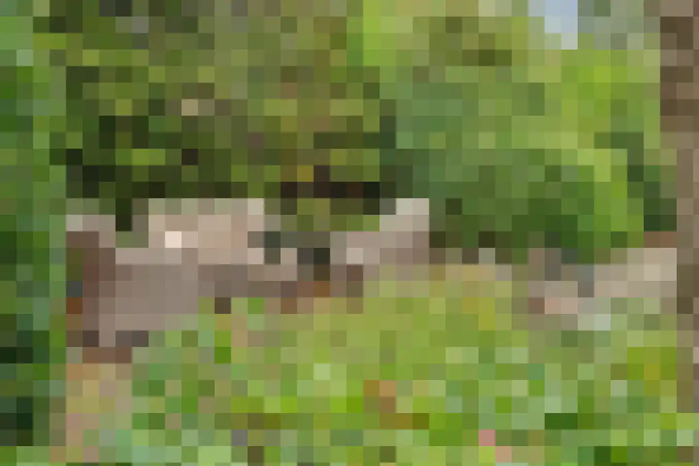 Deezijstraat 14 Bruinisse thumbnail 56