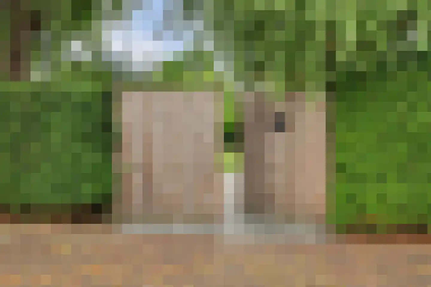 Deezijstraat 14 Bruinisse thumbnail 57