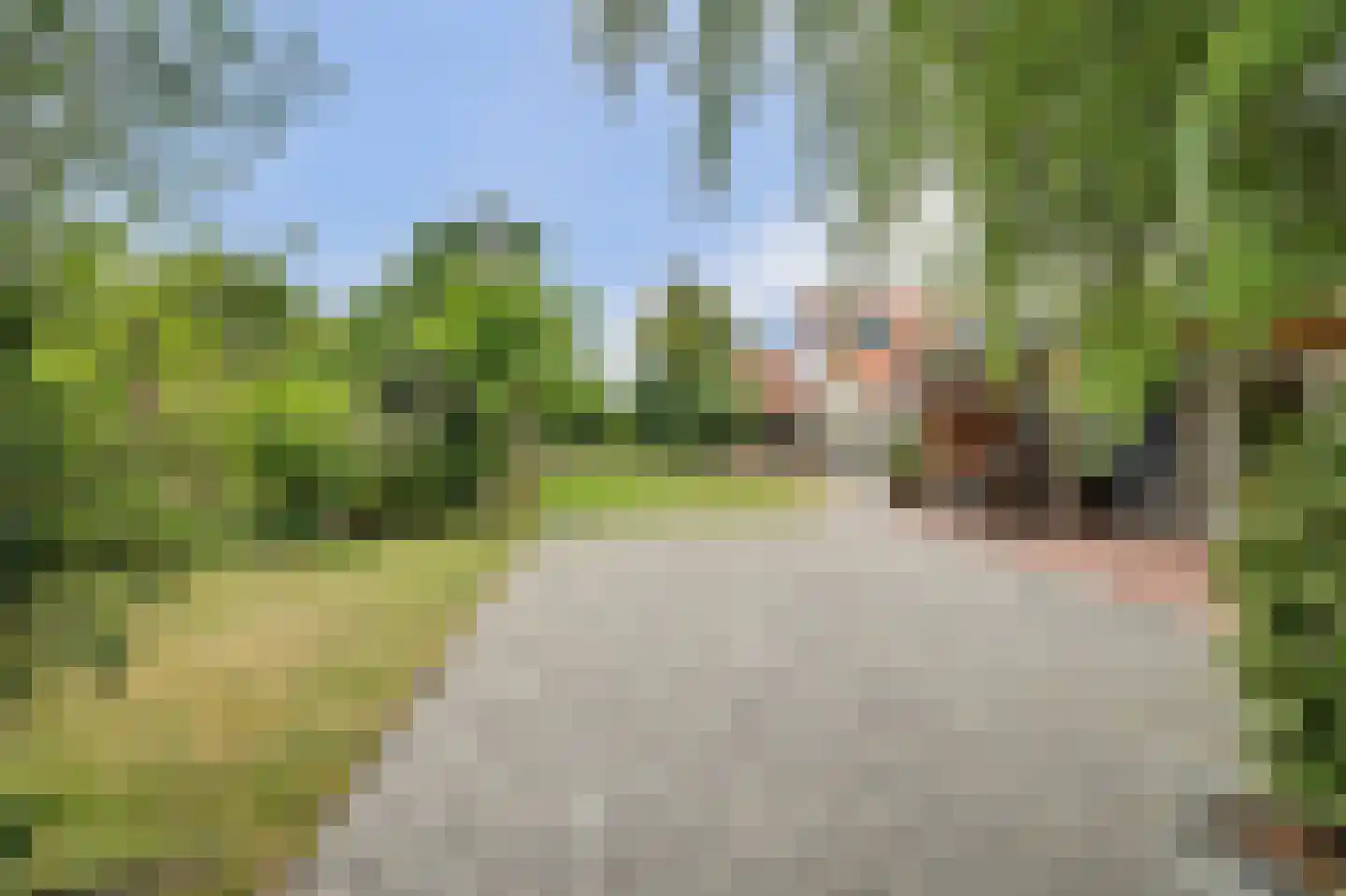 Deezijstraat 14 Bruinisse thumbnail 58