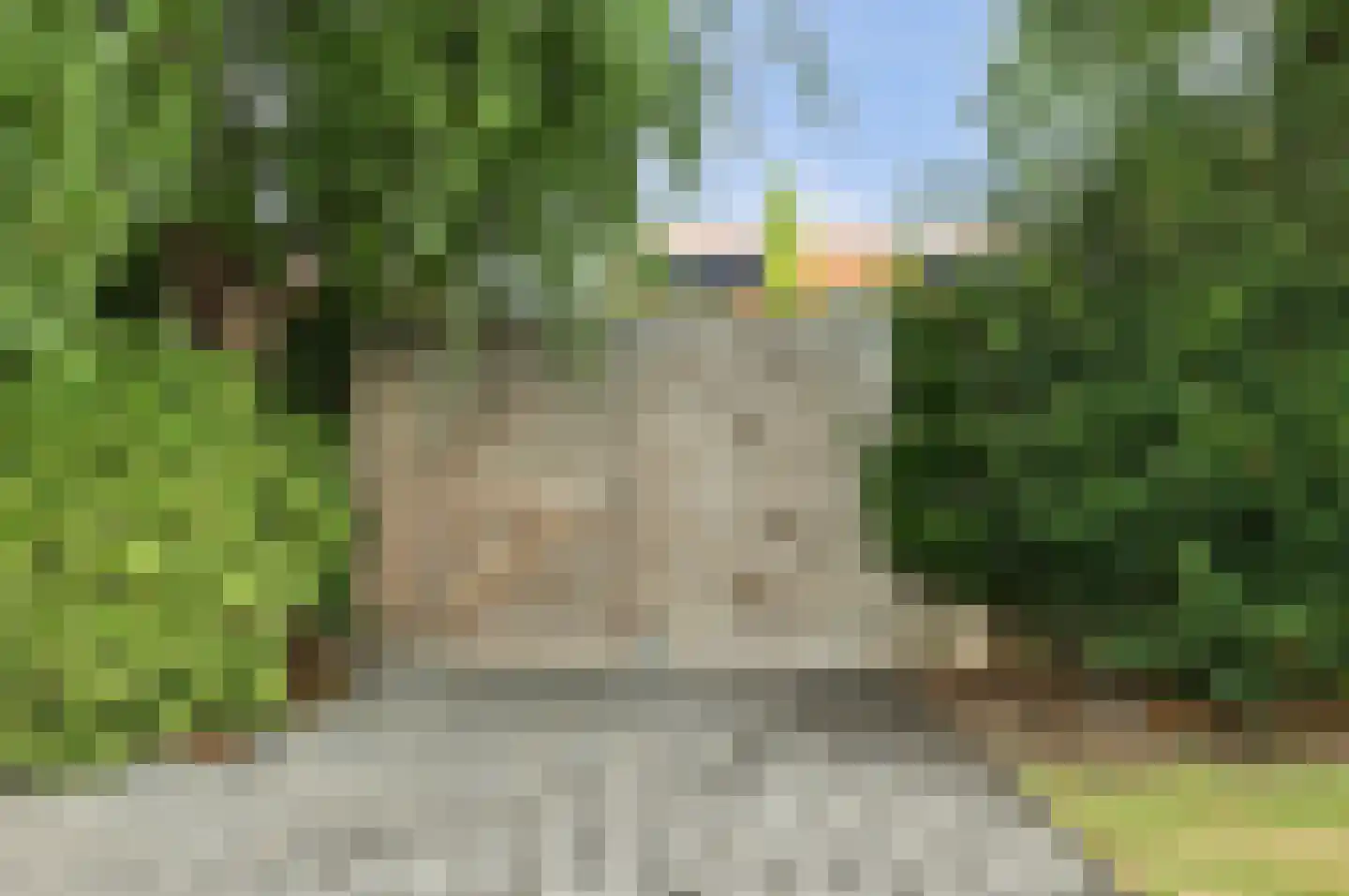 Deezijstraat 14 Bruinisse thumbnail 59