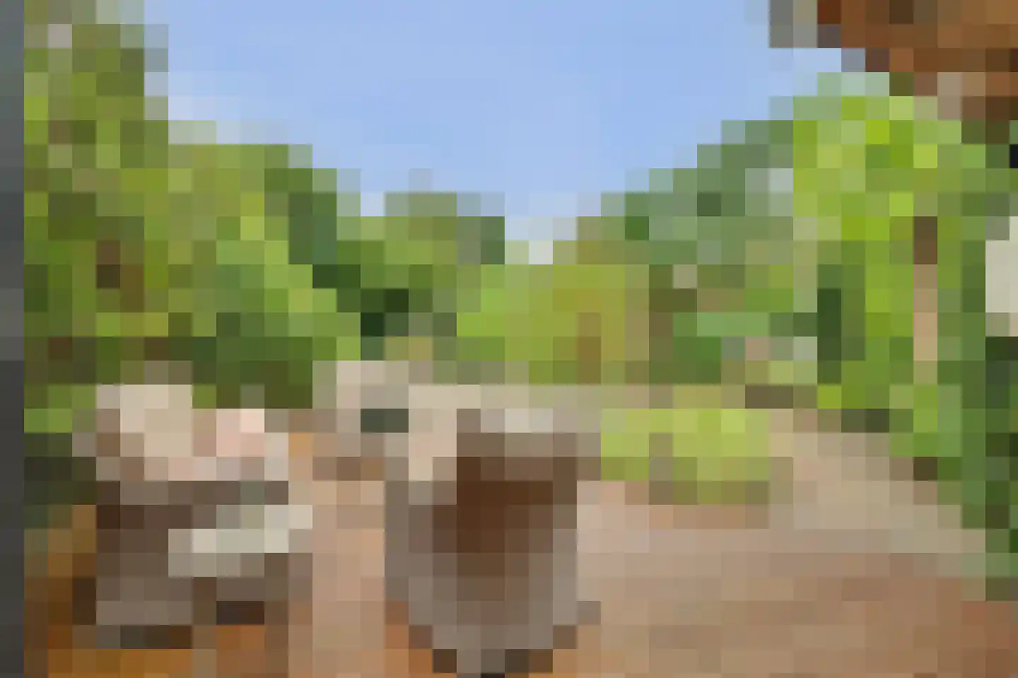 Deezijstraat 14 Bruinisse thumbnail 6