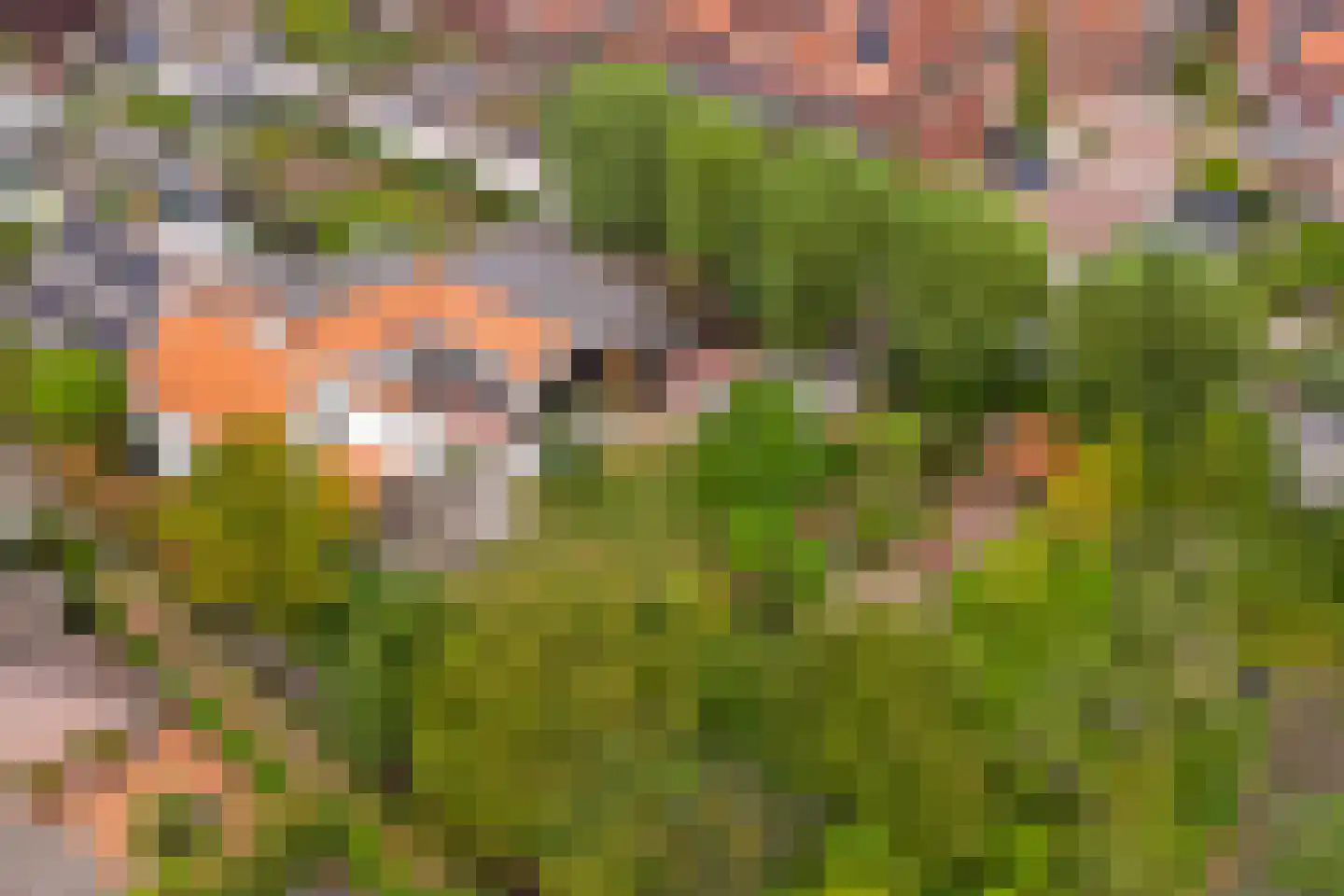 Deezijstraat 14 Bruinisse thumbnail 65