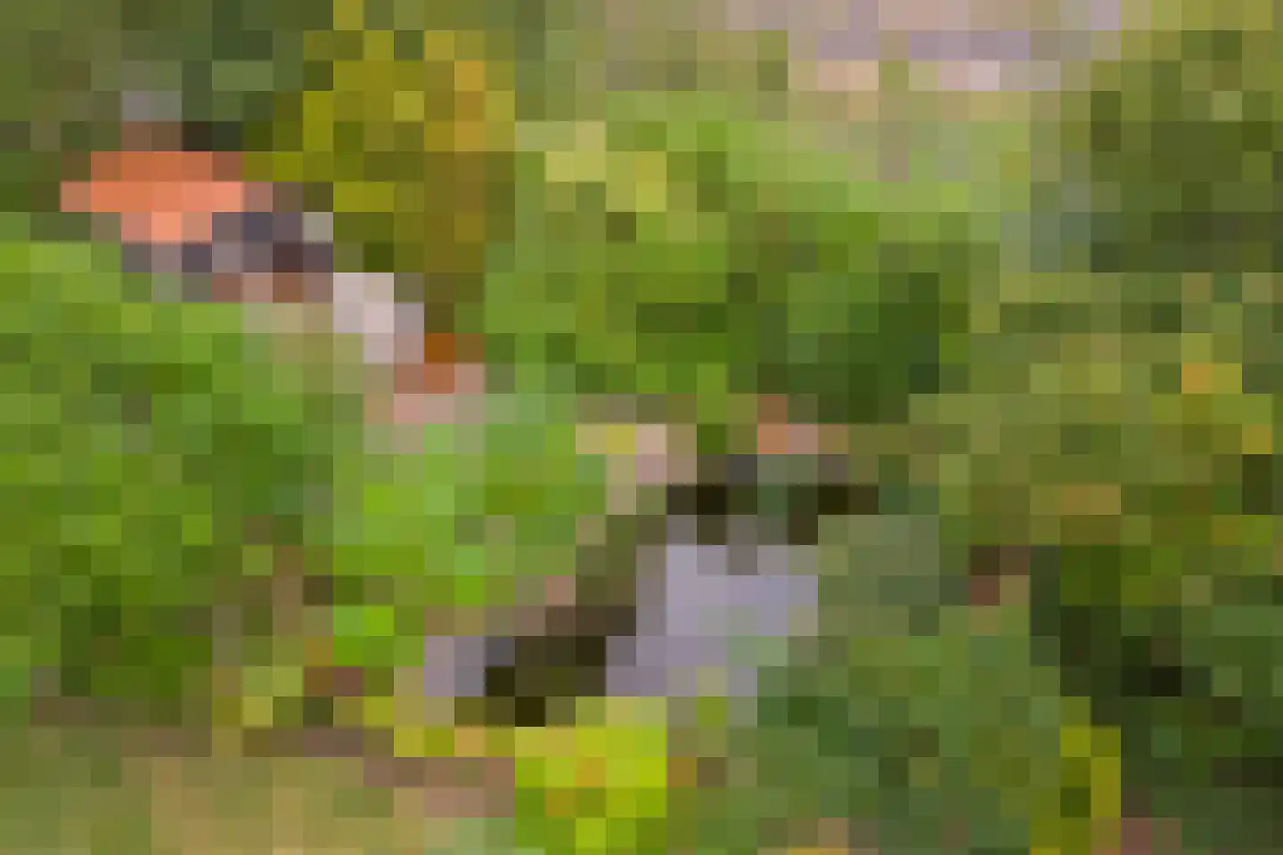 Deezijstraat 14 Bruinisse thumbnail 66