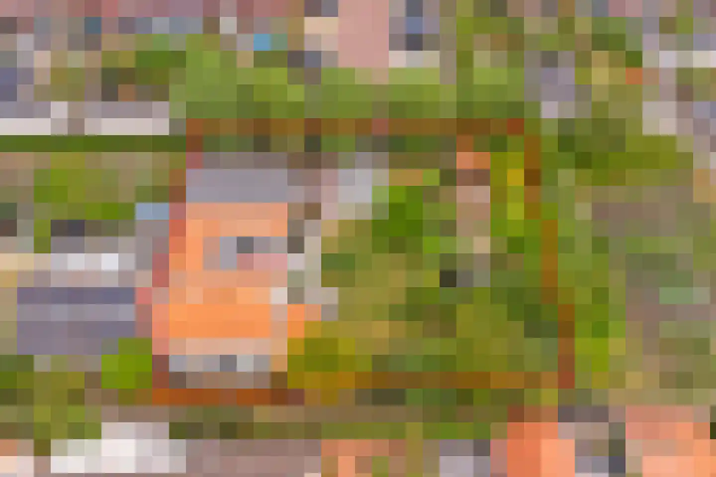 Deezijstraat 14 Bruinisse thumbnail 68