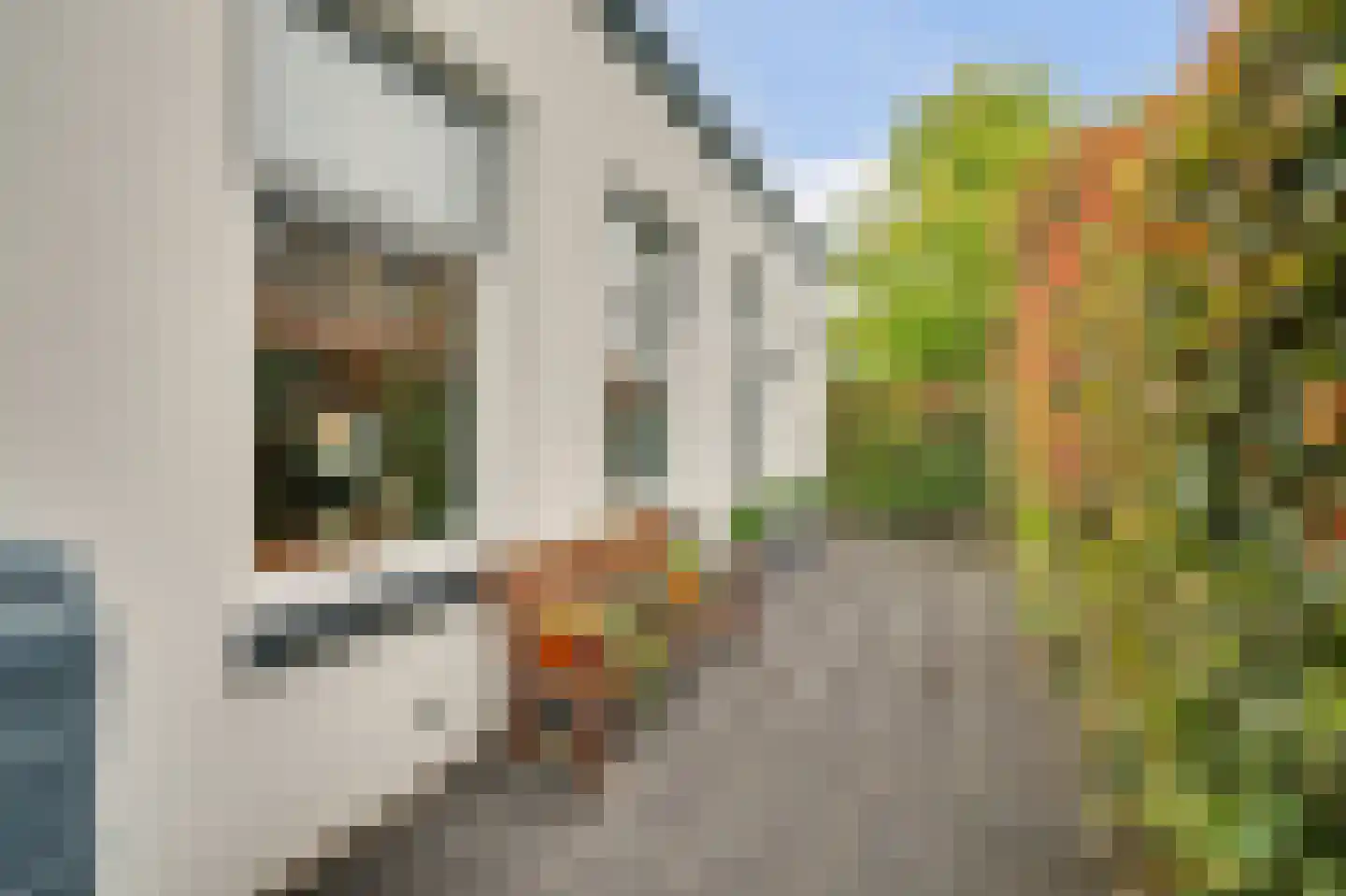 Deezijstraat 14 Bruinisse thumbnail 7