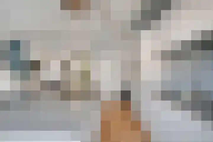 Deflectiespoelstraat 3 Eindhoven thumbnail 14