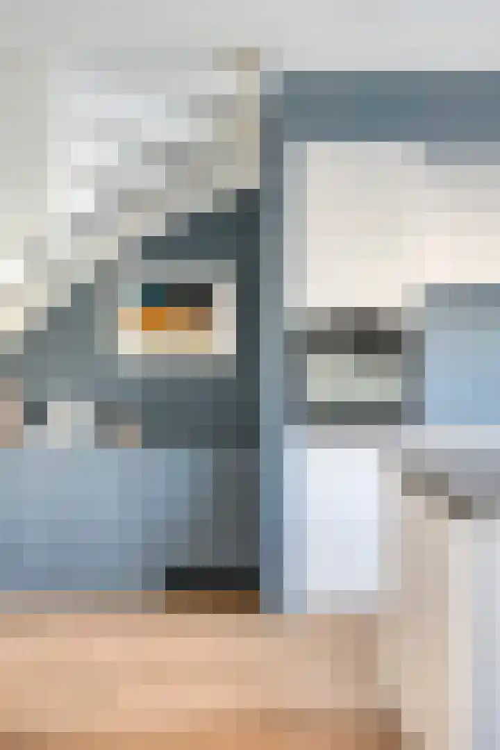 Deflectiespoelstraat 3 Eindhoven thumbnail 15