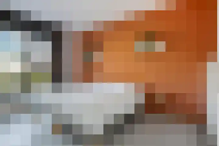Deflectiespoelstraat 3 Eindhoven thumbnail 20