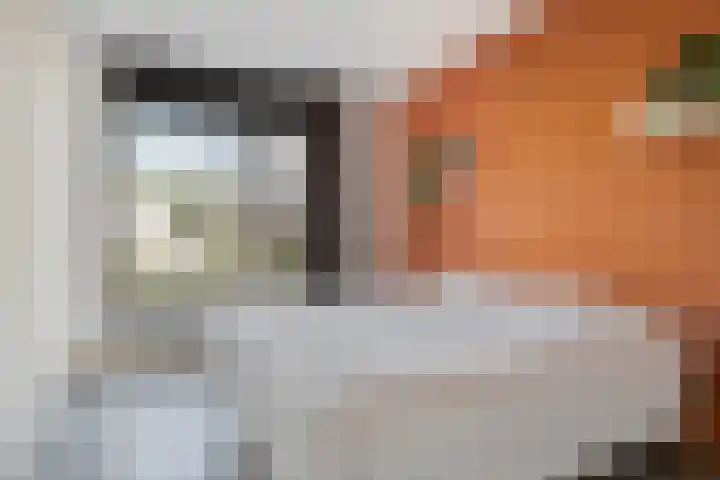 Deflectiespoelstraat 3 Eindhoven thumbnail 21