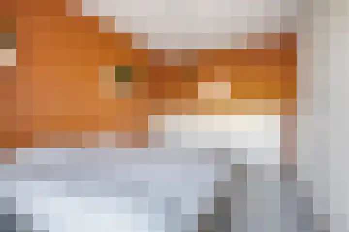 Deflectiespoelstraat 3 Eindhoven thumbnail 22