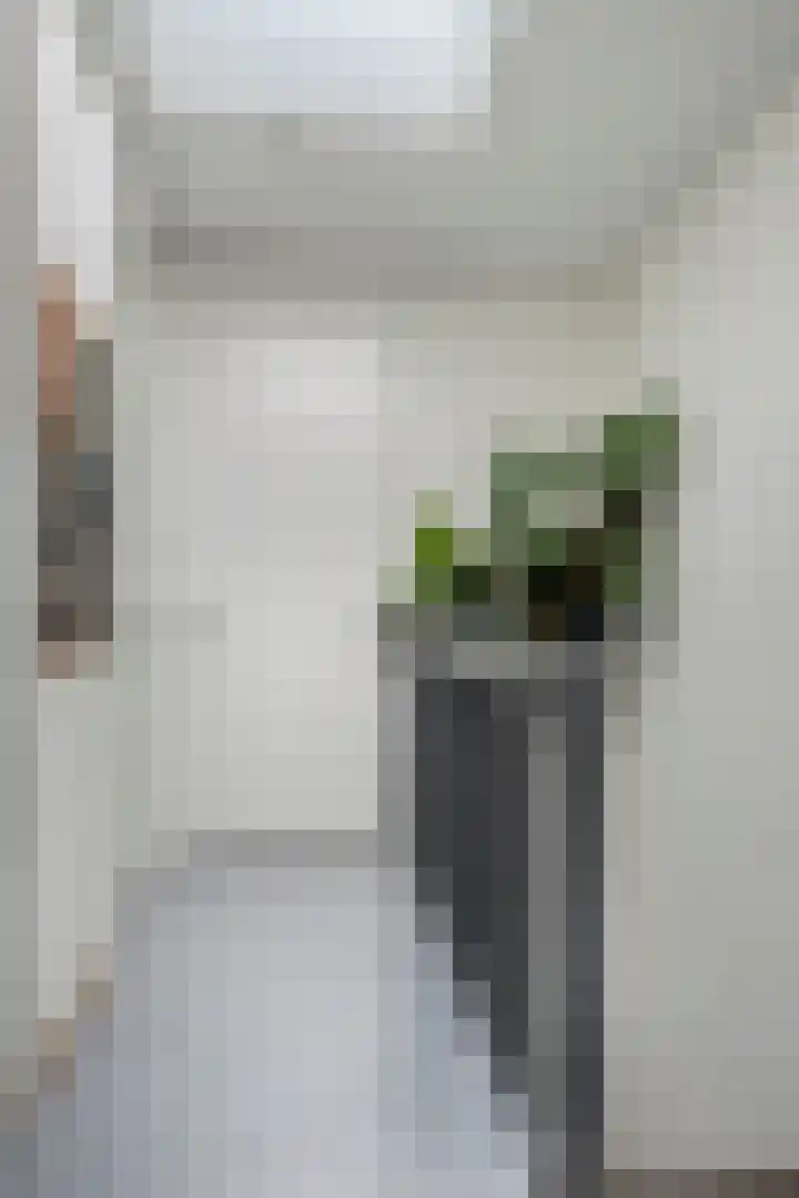 Deflectiespoelstraat 3 Eindhoven thumbnail 30