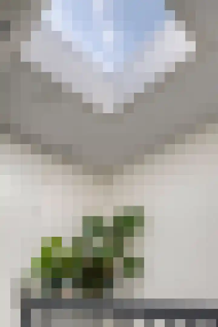 Deflectiespoelstraat 3 Eindhoven thumbnail 31