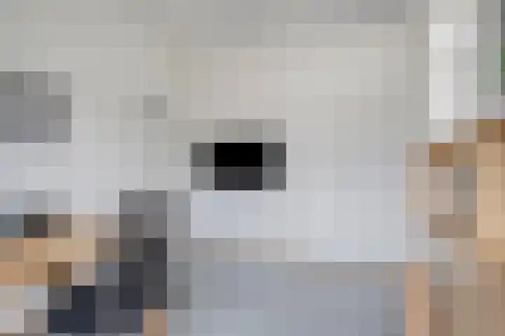 Deflectiespoelstraat 3 Eindhoven thumbnail 34