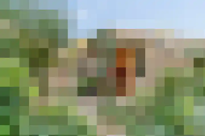Deflectiespoelstraat 3 Eindhoven thumbnail 39