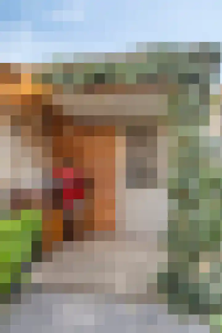 Deflectiespoelstraat 3 Eindhoven thumbnail 41