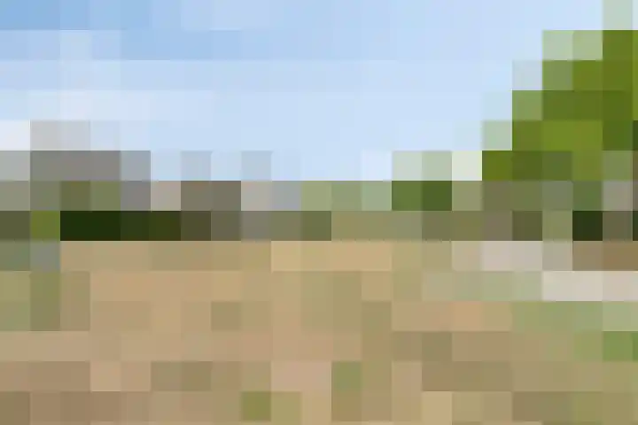 Deflectiespoelstraat 3 Eindhoven thumbnail 45