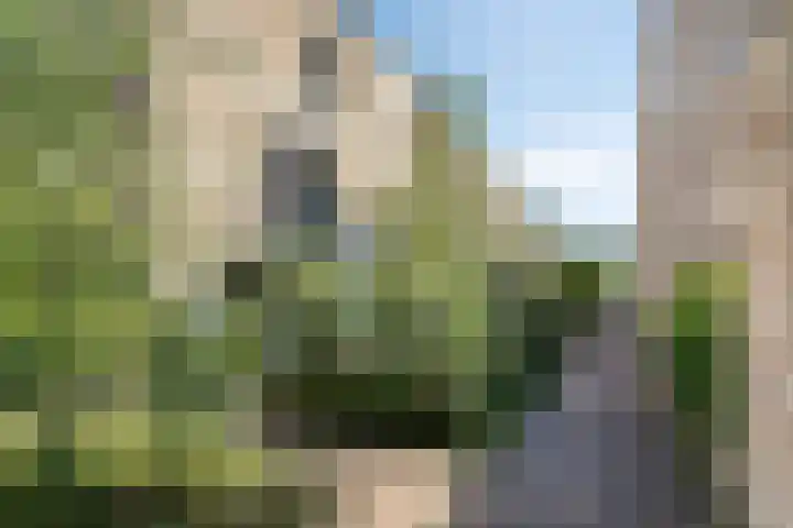 Deflectiespoelstraat 3 Eindhoven thumbnail 55