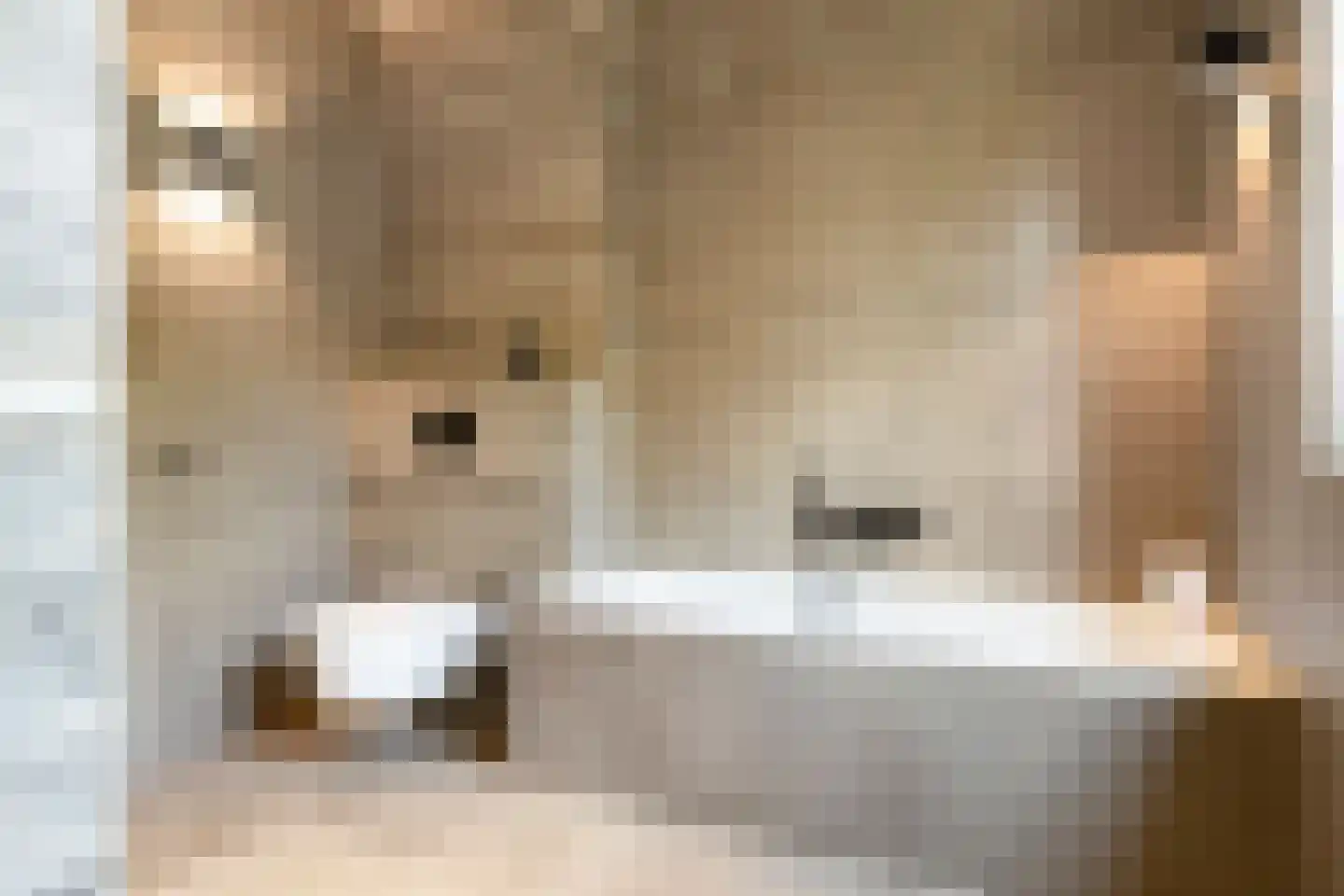 Deflectiespoelstraat 44 Eindhoven thumbnail 37