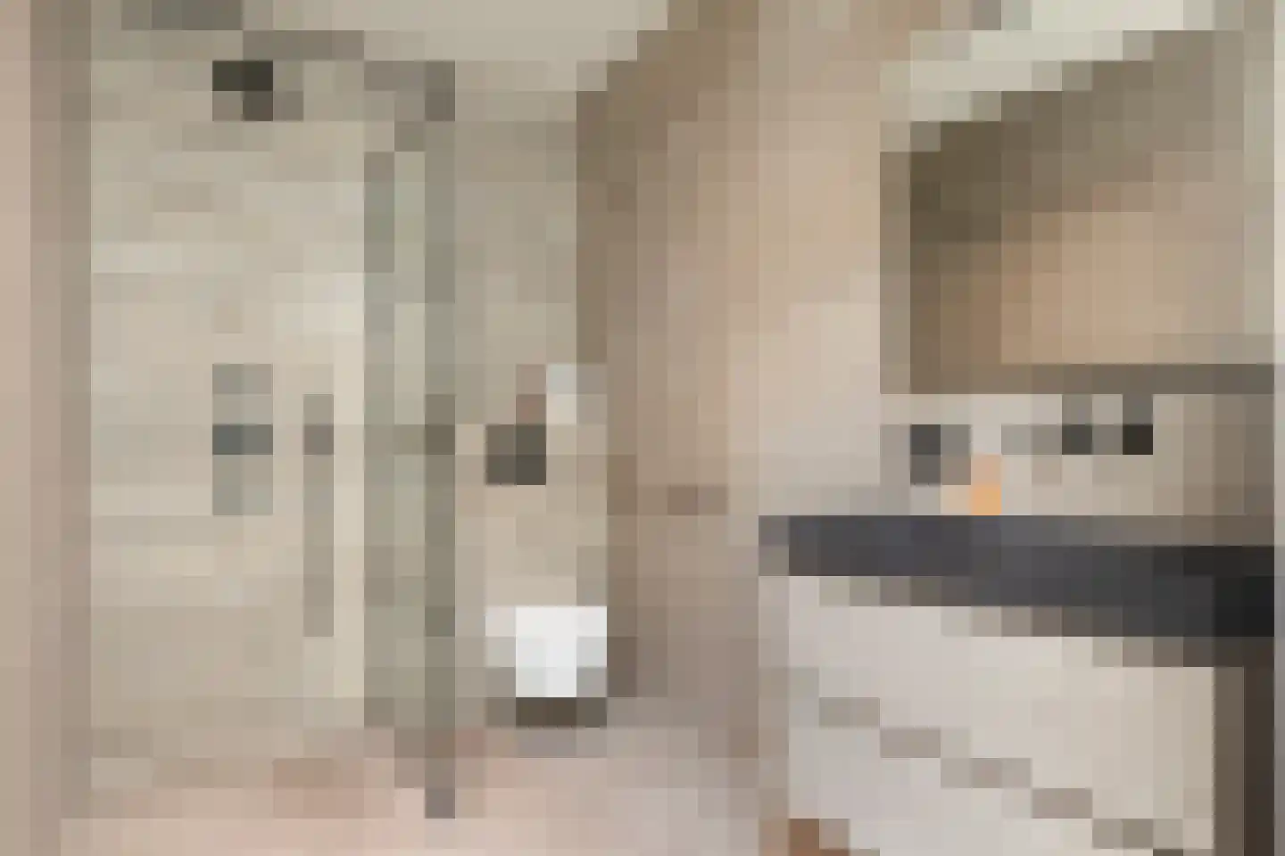Deflectiespoelstraat 44 Eindhoven thumbnail 43