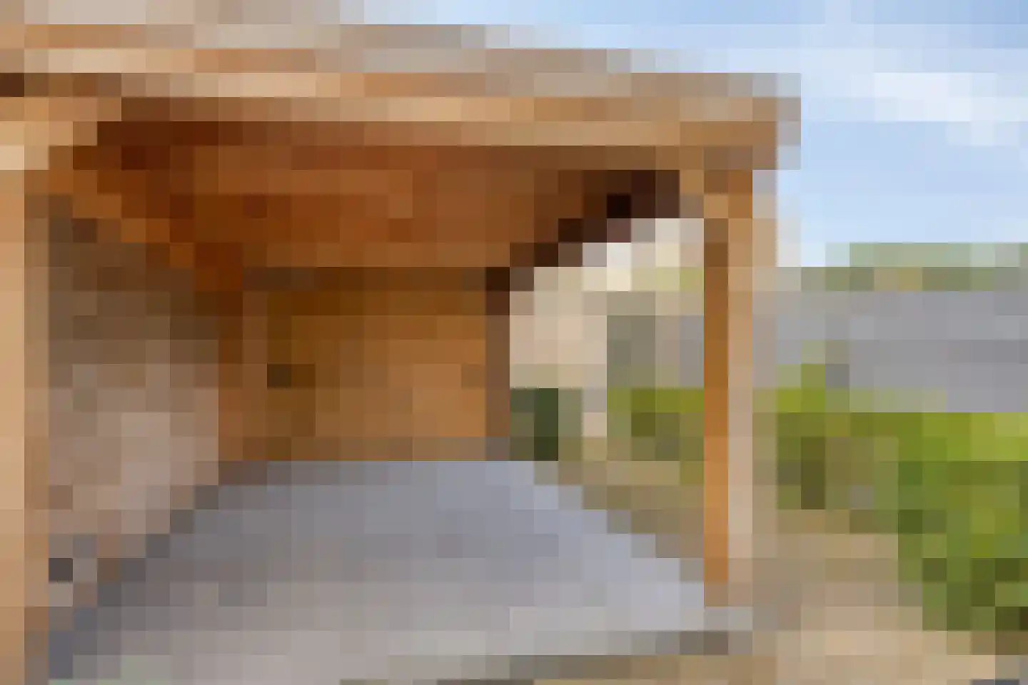 Deflectiespoelstraat 44 Eindhoven thumbnail 49
