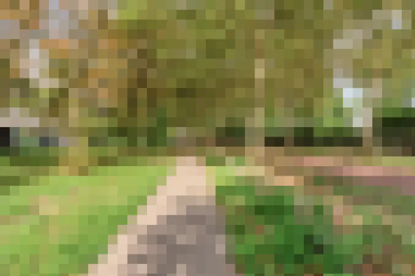 Deflectiespoelstraat 44 Eindhoven thumbnail 52