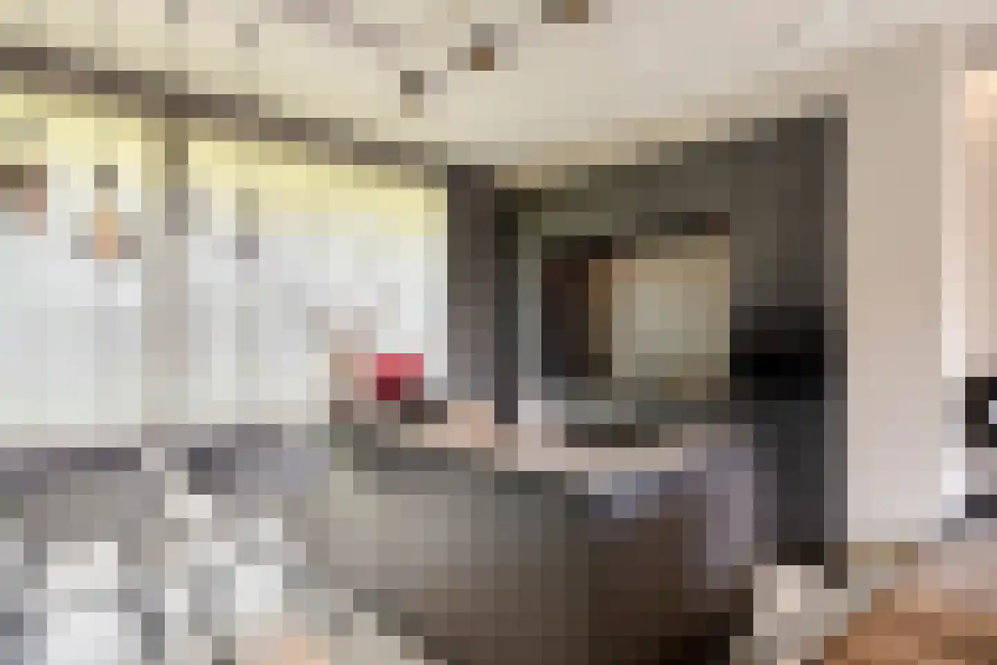 Deflectiespoelstraat 44 Eindhoven thumbnail 6