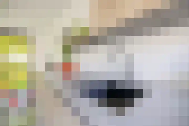 Deflectiespoelstraat 64 Eindhoven thumbnail 16