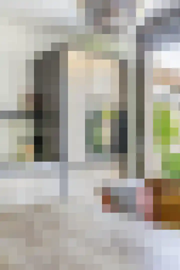 Deflectiespoelstraat 64 Eindhoven thumbnail 17
