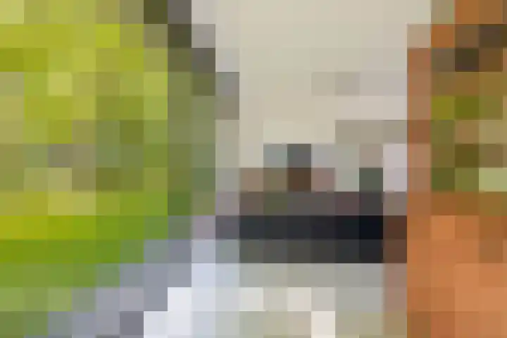 Deflectiespoelstraat 64 Eindhoven thumbnail 22