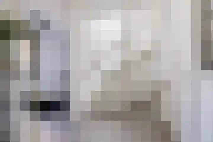 Deflectiespoelstraat 64 Eindhoven thumbnail 24