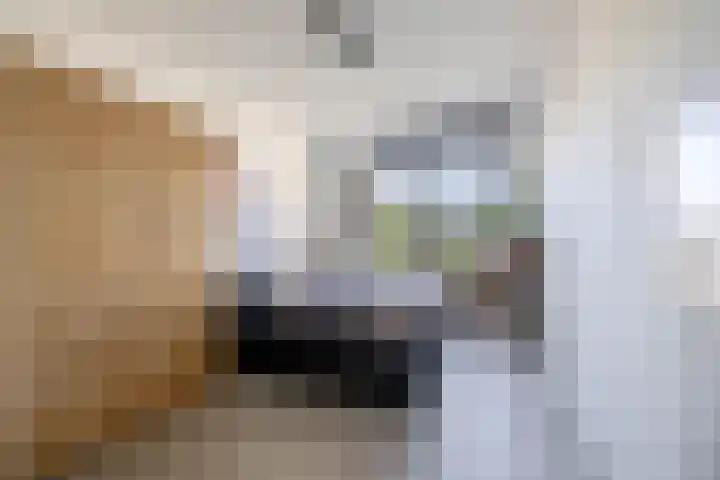 Deflectiespoelstraat 64 Eindhoven thumbnail 25